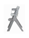 BN-86496,Scaun de masa, FreeON, Finny Fold, 6 luni - 15 Kg, Reglabil pe inaltime, Pernuta, Pliabil, Gray