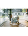 BN-83471,Balansoar, Free2Play, Max the Bear, Cu sa confortabila cu spatar, Din lemn, 18 luni+, Blue