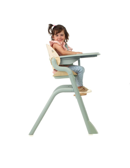 BN-8420421093917,Scaun de masa multifunctional Noah, Jane, De la 6 luni la adult, Din lemn fag, Husa lavabila, Greutate maxima 1