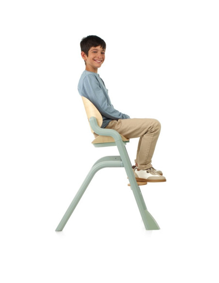 BN-8420421093917,Scaun de masa multifunctional Noah, Jane, De la 6 luni la adult, Din lemn fag, Husa lavabila, Greutate maxima 1