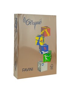 Carton Color 160g/Mp A4 300 Maro Piele Favini