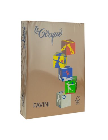 Carton Color 160g/Mp A4 300 Maro Piele Favini