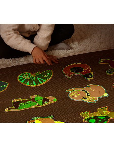 DLEH743,Puzzle geanta cadou Deli, 57 piese, efect luminos - Race