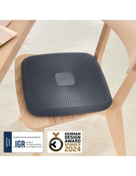 LZ65390089,Pernuta ergonomica pentru scaun Ergo Leitz, Gri Carbune