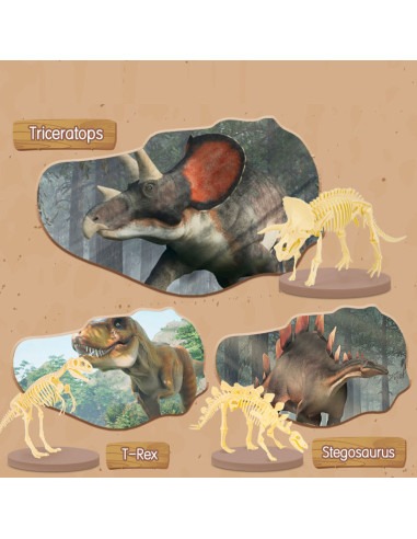DLEH769,Set creativ fossile detective Deli - Tyrannosaurus