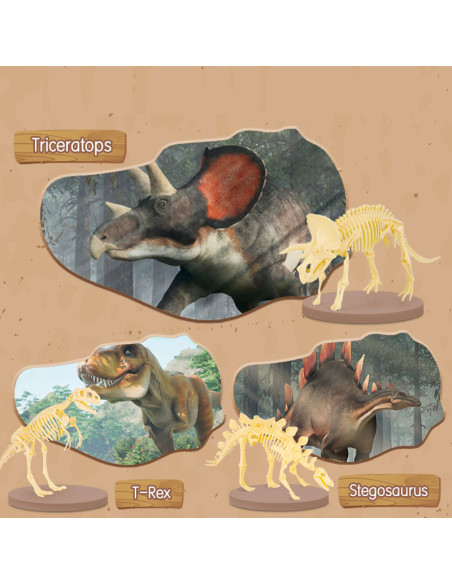 DLEH769,Set creativ fossile detective Deli - Tyrannosaurus