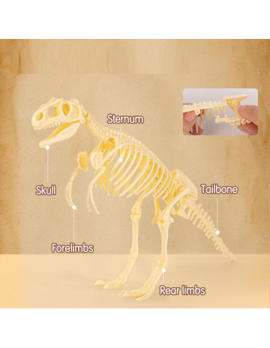 DLEH769,Set creativ fossile detective Deli - Tyrannosaurus