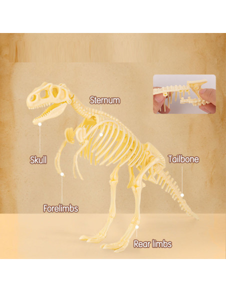 DLEH769,Set creativ fossile detective Deli - Tyrannosaurus