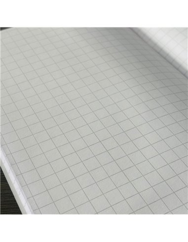 Caiet geometrie fara velin A5 Pigna, liniatura 8x8 mm, 80g/mp, 24 file