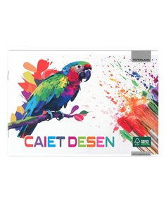 Caiet desen Paperland, 24 file, 80g/mp, coperta lucioasa