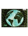Caiet geografie A4 cu spira Paperland, 36 file, 80g/mp, orizontal (landscape), coperta carton