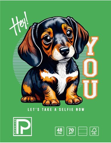 Caiet A5 Paperland, 48 file, 70g/mp, dictando, coperta lucioasa, Diverse modele