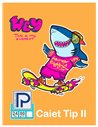Caiet tip 2 Paperland, 24 file, 80g/mp, coperta lucioasa, Diverse modele