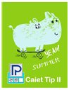 Caiet tip 2 Paperland, 24 file, 80g/mp, coperta lucioasa, Diverse modele