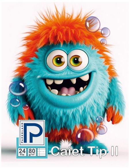 Caiet tip 2 Paperland, 24 file, 80g/mp, coperta lucioasa, Diverse modele