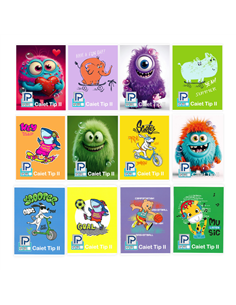 Caiet tip 2 Paperland, 24 file, 80g/mp, coperta lucioasa, Diverse modele