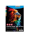 Carton color A4 Paperland, 160g/mp, 10 culori, 100 buc/set