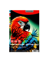 Hartie colorata A4 Paperland, 70/mp, 10 culori, 100 buc/set