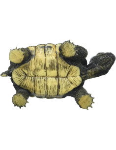 BL4007176635537-MG,Broasca Testoasa 2