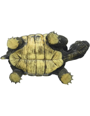 BL4007176635537-MG,Broasca Testoasa