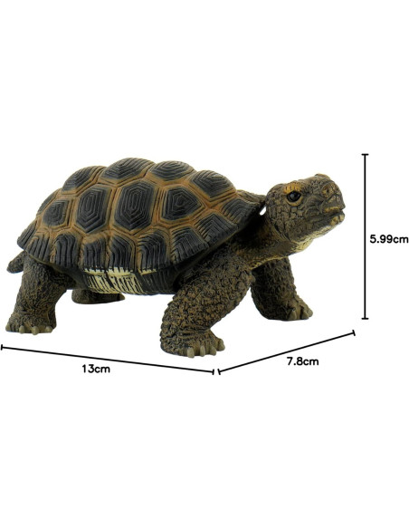 BL4007176635537-MG,Broasca Testoasa