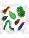 SA14311-MG,Laboratorul de Sapunuri cu Forme Infricosatoare