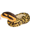 WR20728-MG,Sarpe BALL PYTHON