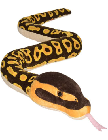 WR20728-MG,Sarpe BALL PYTHON