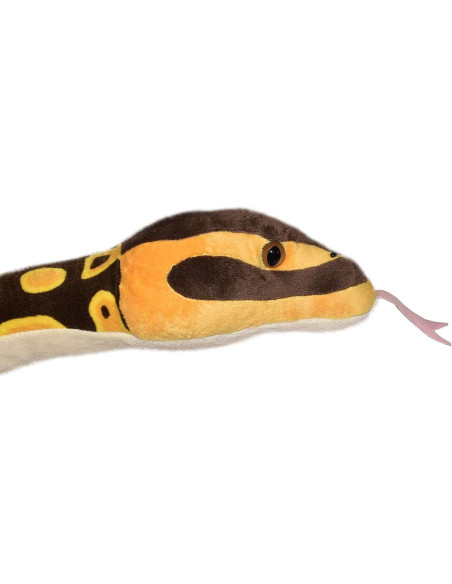 WR20728-MG,Sarpe BALL PYTHON