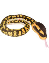 WR20728-MG,Sarpe BALL PYTHON