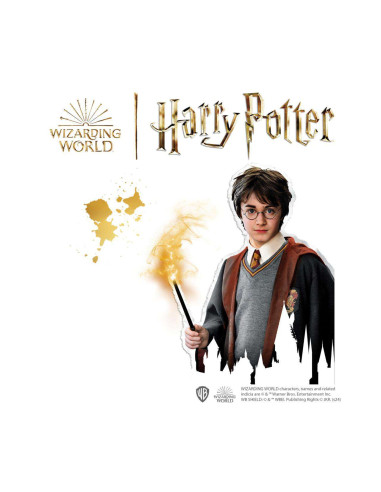 SA09342-MG,Set de Decorat cu Diamante-Harry Potter