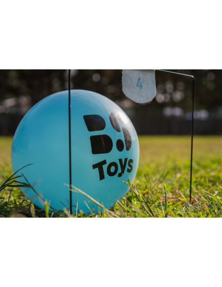 GA557,Fotbal Croquet, BS Toys