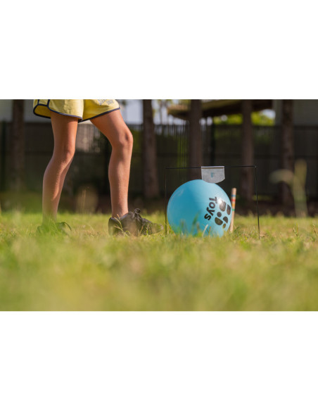GA557,Fotbal Croquet, BS Toys