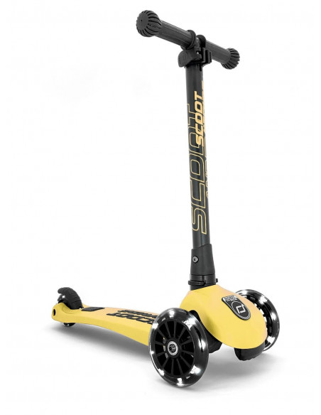 Trotineta copii pliabila cu roti luminoase Scoot & Ride