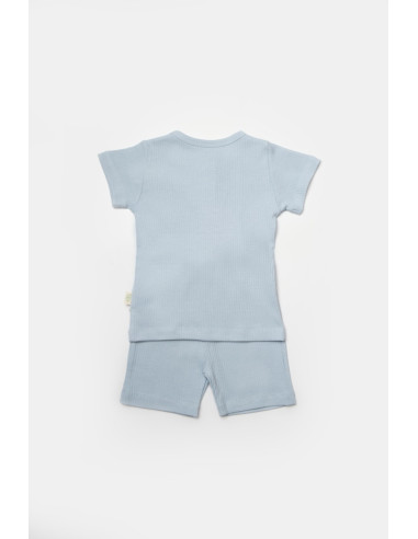 UP-BC-CSYB9043-3,Set tricou cu pantaloni Bamboo, blue, BabyCosy, 50%bumbac+50% bambus (Marime: 3-6 Luni)