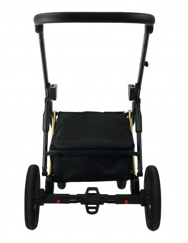 Carucior copii 3 in 1, reversibil, 0-36 luni, Bexa Next Gold,NG1