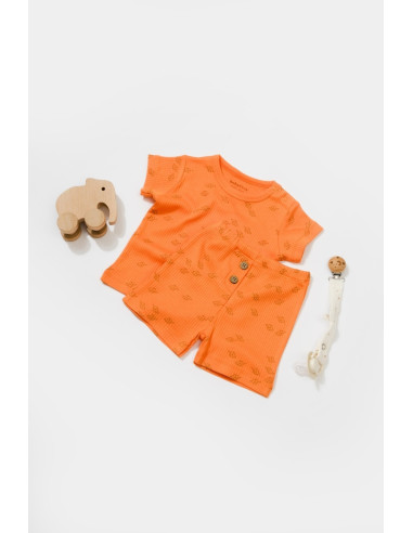 UP-BC-CSYM11705-3,Set tricou cu pantaloni Printed, portocaliu, BabyCosy, 50%bumbac+50% modal (Marime: 3-6 Luni)