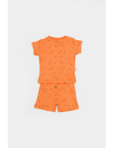 UP-BC-CSYM11705-3,Set tricou cu pantaloni Printed, portocaliu, BabyCosy, 50%bumbac+50% modal (Marime: 3-6 Luni) 2
