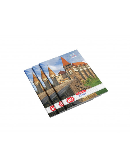 9481020,Caiet Herlitz A4 80 File Dictando Romania