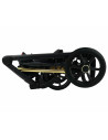 Carucior copii 2 in 1, reversibil, Bexa Next Gold,NG1_2bexa