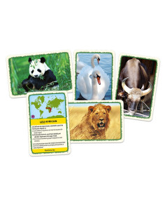 ROB-58629,Joc educativ - Animalele lumii, Tactic - BLACKFIRE 2