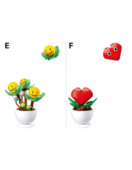 ROB-M38-B1073,Set de constructie Flowers, 6 modele/display, Plante in ghiveci - Sluban