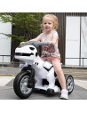 ROB-M-SZ0699,Motocicleta dinozaur cu acumulator, 2 motoare, 12V, 5A, Diverse culori
