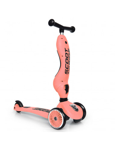Trotineta copii transformabila 2in1 Scoot & Ride HighwayKick 1