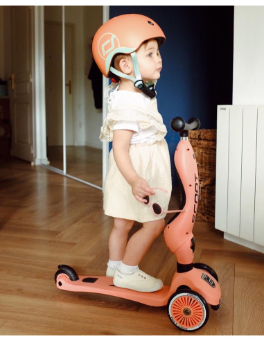 Trotineta copii transformabila 2in1 Scoot & Ride HighwayKick 1