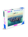 RVSPA00017,Ravensburger - Puzzle New York 1000 piese design nou