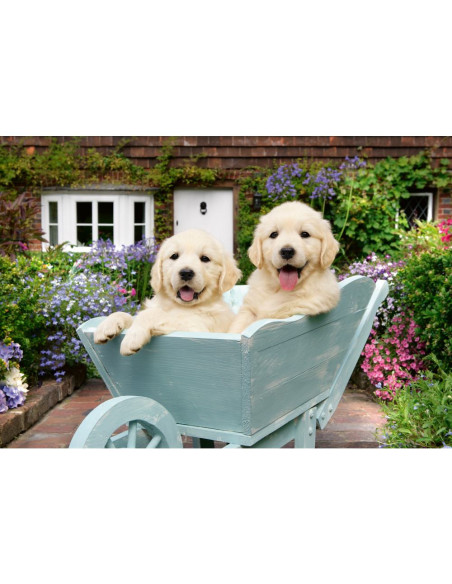 RVSPA01368,Ravensburger - Puzzle pentru varstnici Golden Retriever cu sablon de imagine si suport din carton 200 piese mari XL