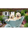 RVSPA01368,Ravensburger - Puzzle pentru varstnici Golden Retriever cu sablon de imagine si suport din carton 200 piese mari XL