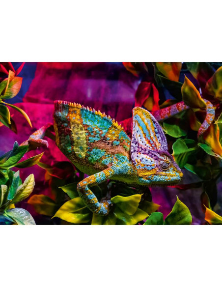 RVSPA01333,Ravensburger - Puzzle animale colorate cameleon 500 piese