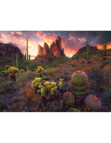 RVSPA01380,Ravensburger - Puzzle cactusi 500 piese